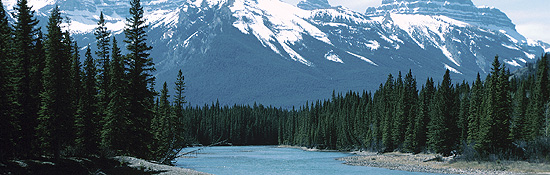 Mountain & Water