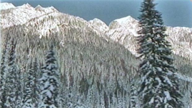 Mountains Snow & Trees